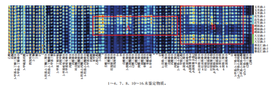 微信圖片_2026-01-27_151027_866