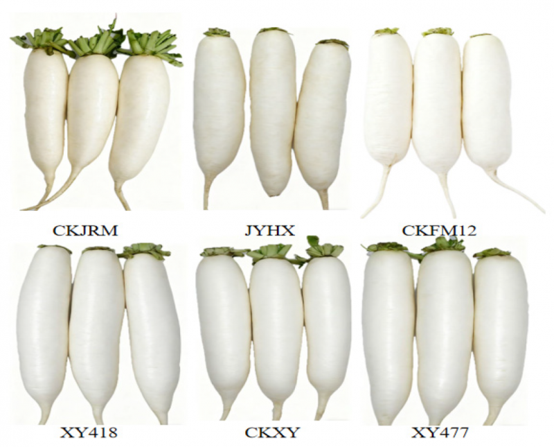 微信圖片_2026-04-07_133152_518